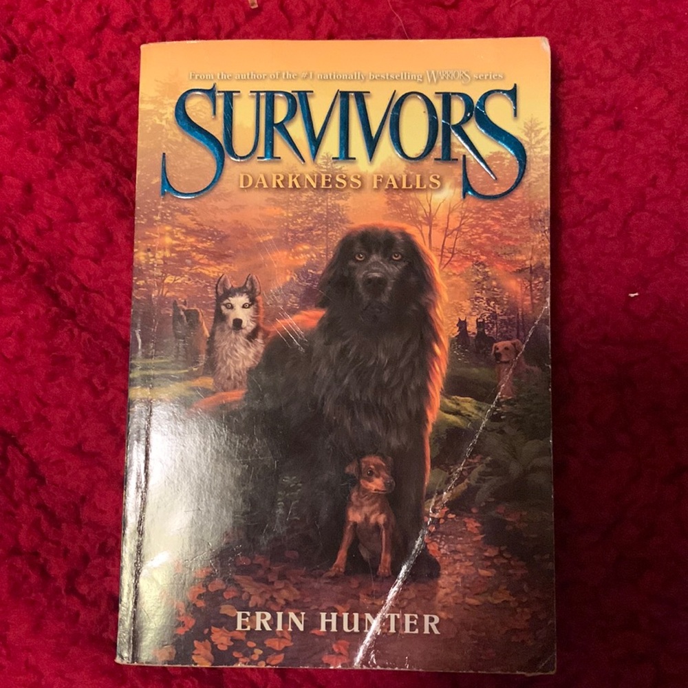Survivors Darkness Falls